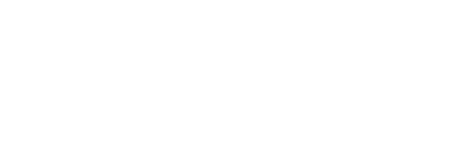 Main white everlink logo